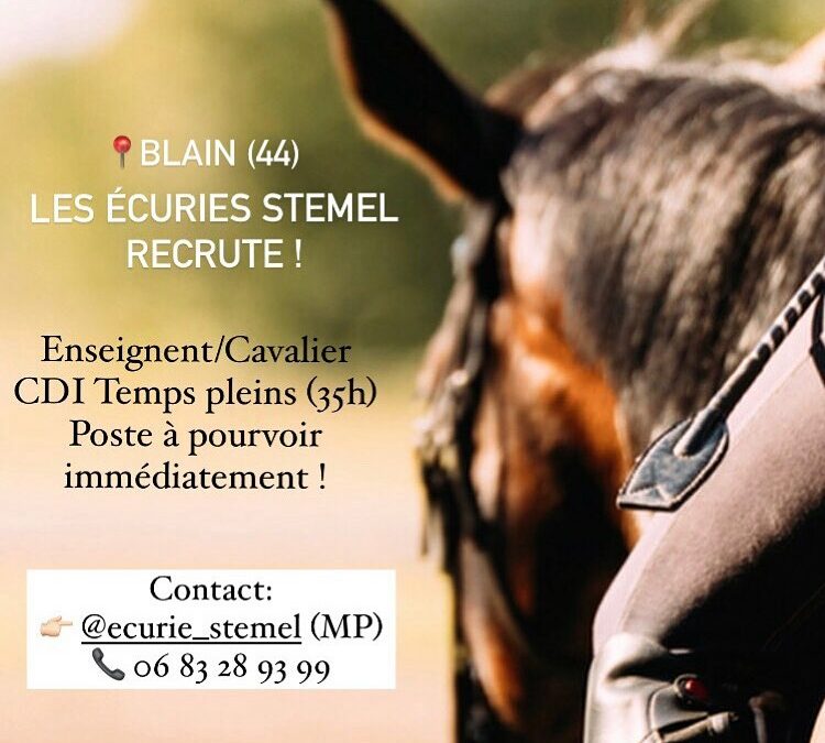 Nous recrutons